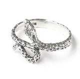 DELICATE ASP RING